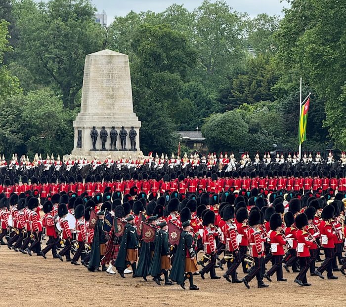 The crowd at Trooping the Colour